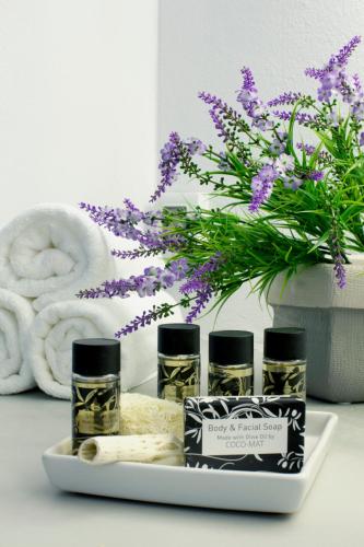 Anemolia Villa - image 8