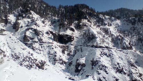 Photo of Natures Crest