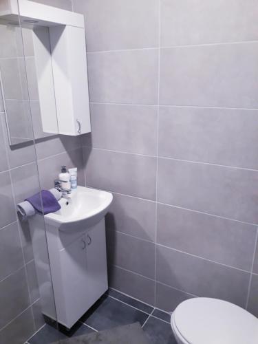 Studio Apartman Nina - Pale - image 7