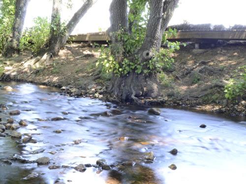 Alojamientos Rurales La Codosera