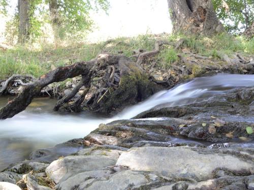 Alojamientos Rurales La Codosera