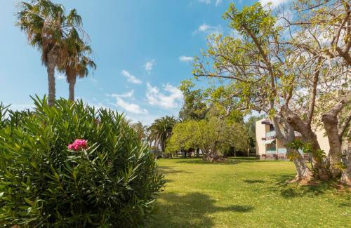 Hotel Palia Don Pedro - image 12