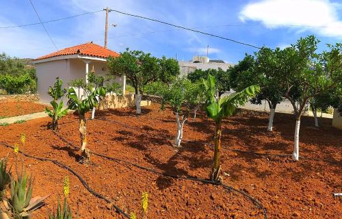 Exterior view, Maria Hotel Sisi in Sissi