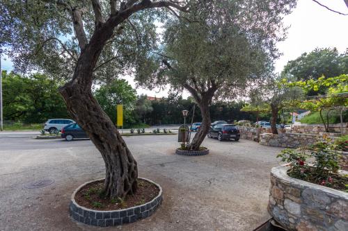 Sumice Inn - image 5