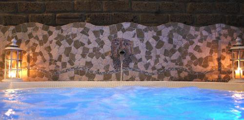 Hotel Villa Clementina - image 4