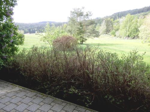 周邊環境, Ferienwohnung Kraus in 朗多夫