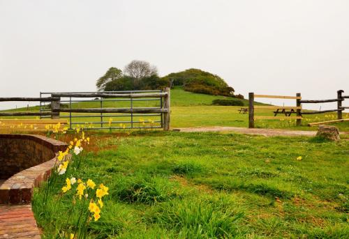 Queen Bower Farm Lodge - main image