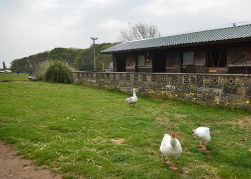 Queen Bower Farm Lodge - image 3