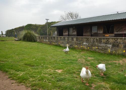 Queen Bower Farm Lodge