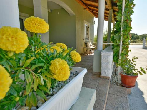  Apartment Ivan, Unterkunft in Briševo