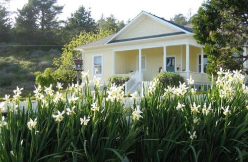 Fog's End B&B