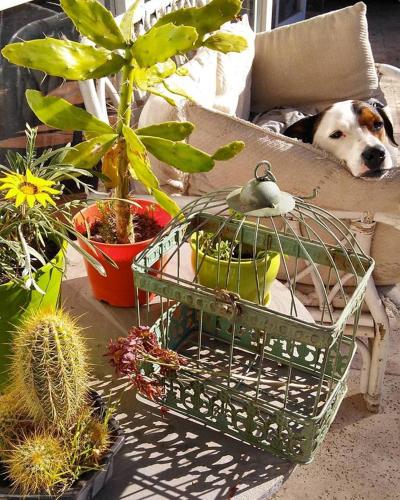 Tanino Guest House in Mendoza