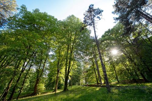 In Park Villa - image 10