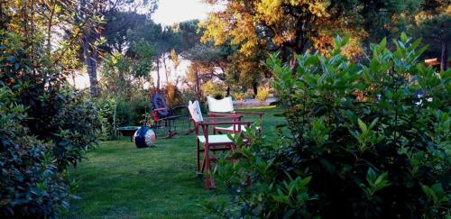 Ying Yang Monte da Lua