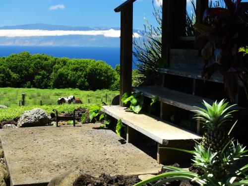 Kohala Lodge- Vacation Rental House