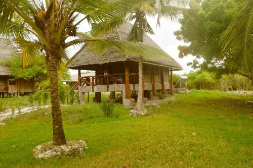 Viesnīcas āriene, Pemba First Eco Lodge in Kiweni Island