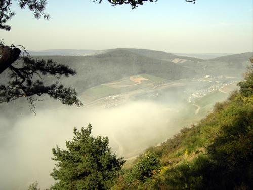 Weinstube Pension Moselblumchen 607m von Zeltingen-Rachtig entfernt