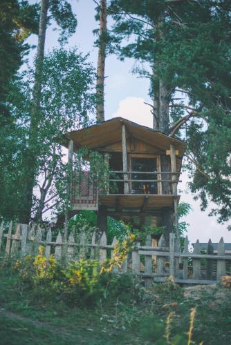 Heshkili huts Svaneti