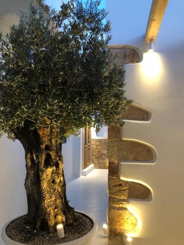 Kostis Parthenis Residence - image 5
