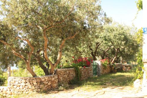 Holiday home Ivan Bol - image 9