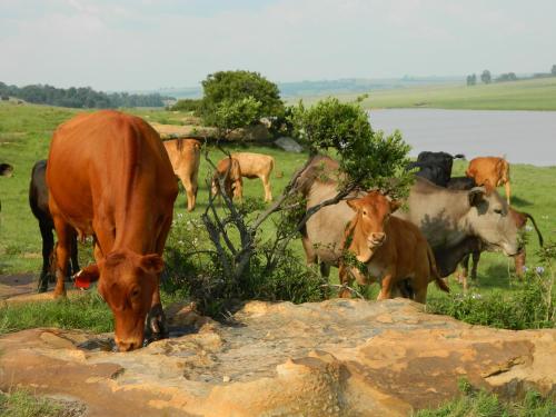 Green Thumb Farm Stay