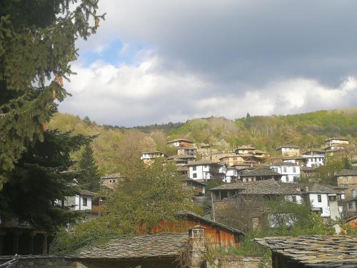 Слънчевата къща
