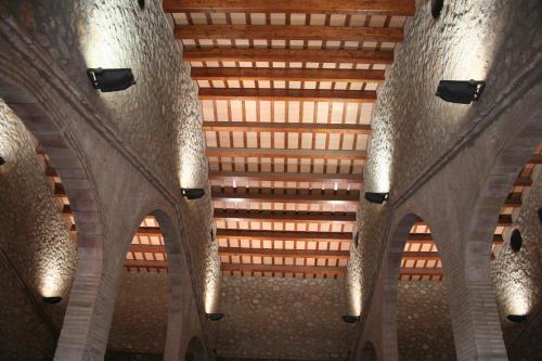 Hotel Mas Oliveres Pla de Palau - image 3