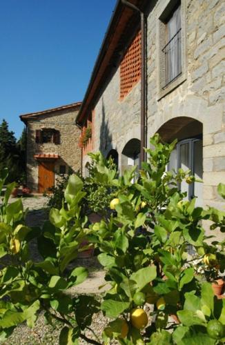 apartment details Granaio - image 6