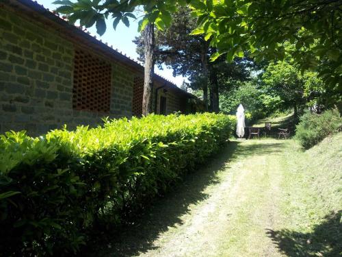 3 rooms flat in a green Tuscany valley