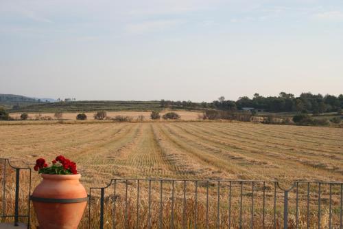 Hotel Mas Oliveres Pla de Palau - image 5
