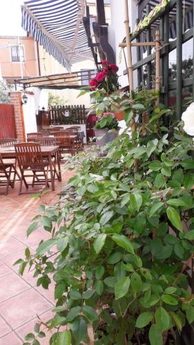 B&B LAVANDA , Finida-Umag 4