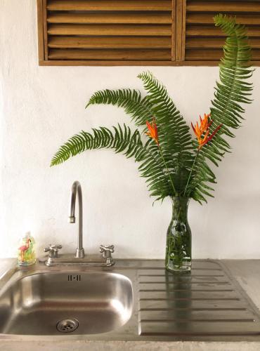 Tortuguero Casa Pelican in Tortuguero