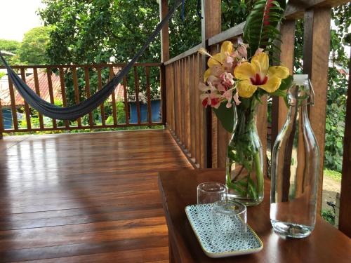 Tortuguero Casa Pelican in Tortuguero