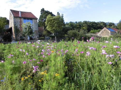 Vineyard Garden Studio - Location saisonnière - Mont-Saint-Jean