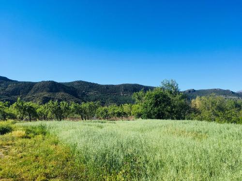 Apartamento El Refugio de Mecina