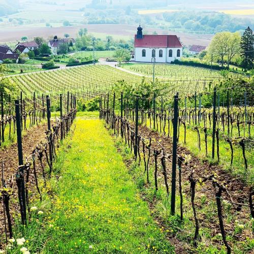 Villa Mandelblute in جليسزيلين-جليشورباش