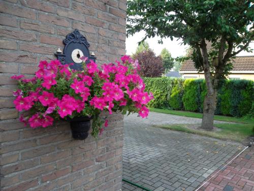 Hof van Lutten - image 3