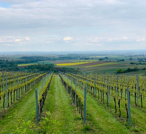 Villa Mandelblute in جليسزيلين-جليشورباش