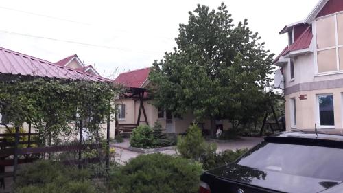 Beregynya in Alekseyevka