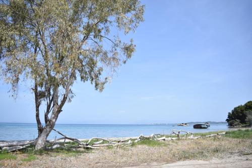 Corfu Seaview Maisonette - Sopra il Mare