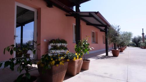Iter Greenhouse, Verona (foto 4)