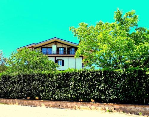 Casa Magnolia - image 6