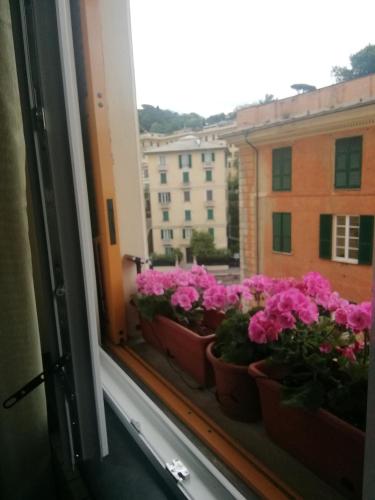 Your House Rooms, Genua (zdjęcie 3)