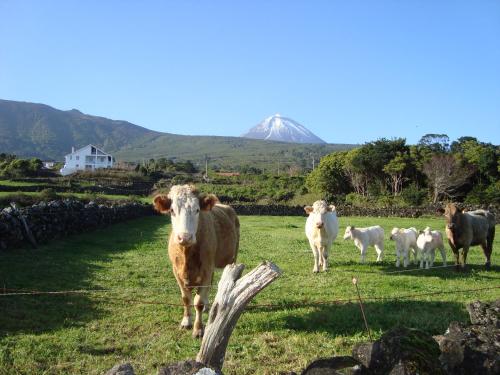 Casa Do Canto, São Roque do Pico