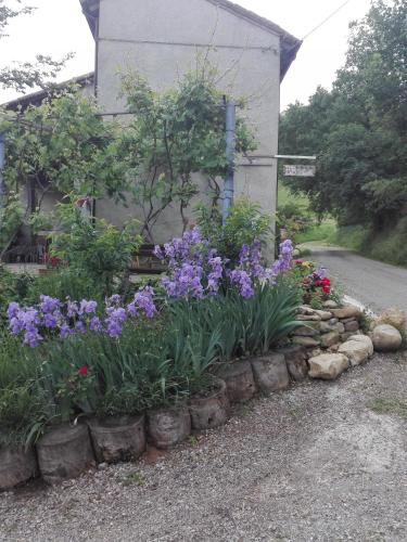B&B San Nicola