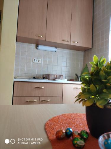 Apartments Brnjada - main image