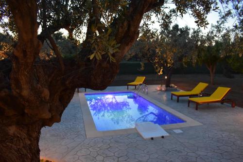 Olive Sense Villa