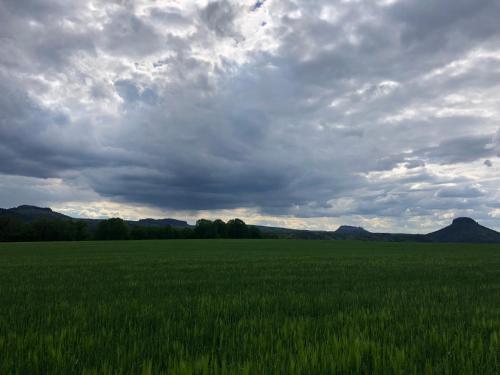 Höllenstiege (Hollenstiege) in Rathmannsdorf - Hohe