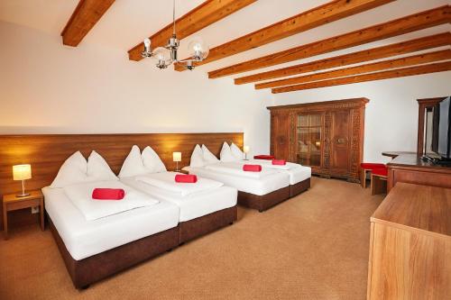 Apartmany Nad Rybnikem in Zelezna Ruda