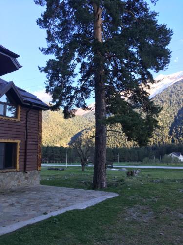 Kavkaz Guest House - image 7